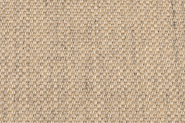 Sisal Panama X hopea