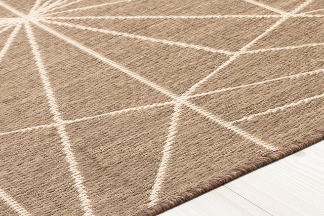 Spider beige