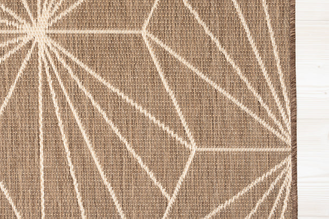 Spider beige